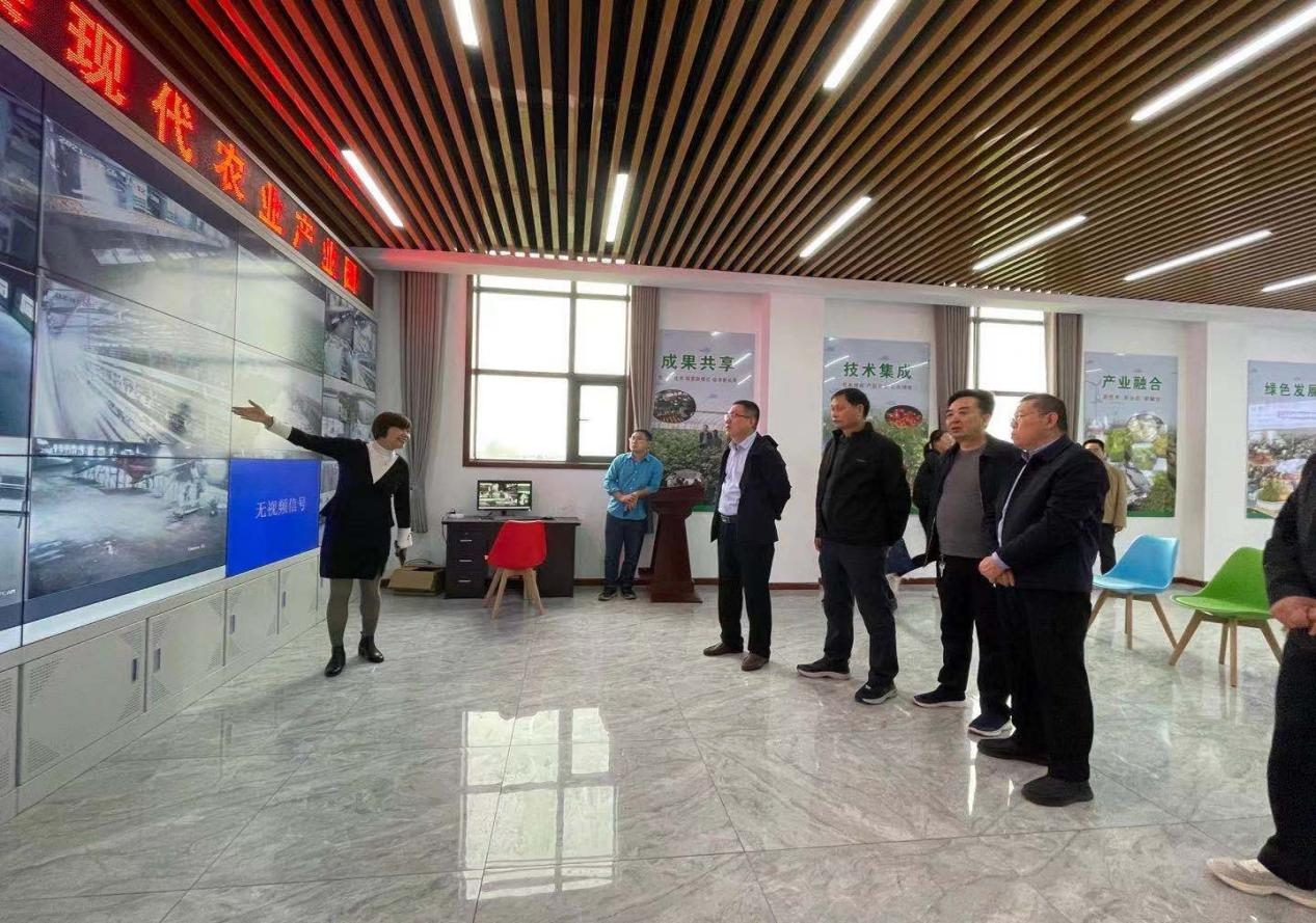 图片2