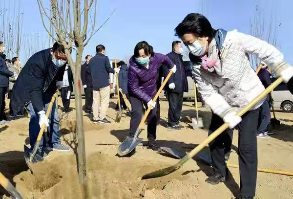 河南省人大常委会机关干部参加冬季义务植树活动