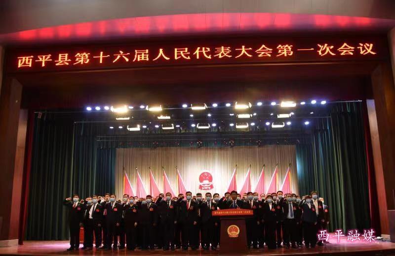 图片11